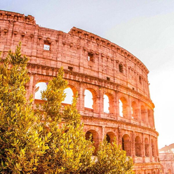 Transfer per Roma - immagine 10