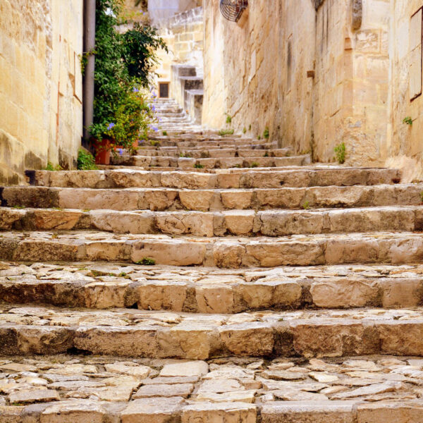 Transfer per Matera - immagine 8